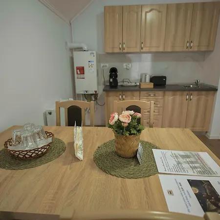 Apartament Domina - Certificat Clasificare 3 Stele, Ministerul Turismului Sînnicolau Mare Exterior foto